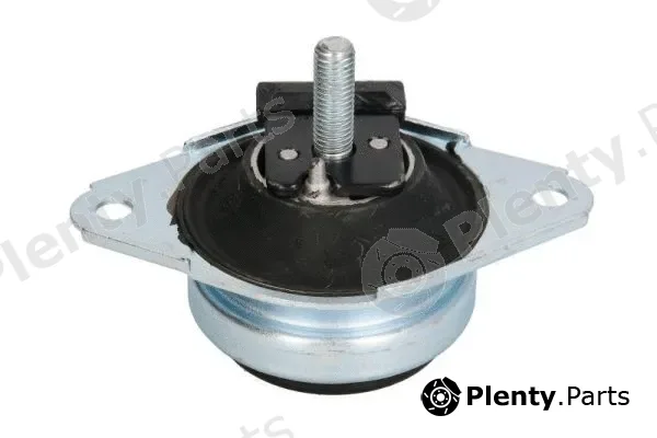 Reinhoch RH11-4003 — Mounting, engine