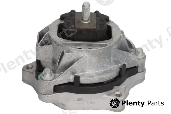 Reinhoch RH11-3135 — Mounting, engine