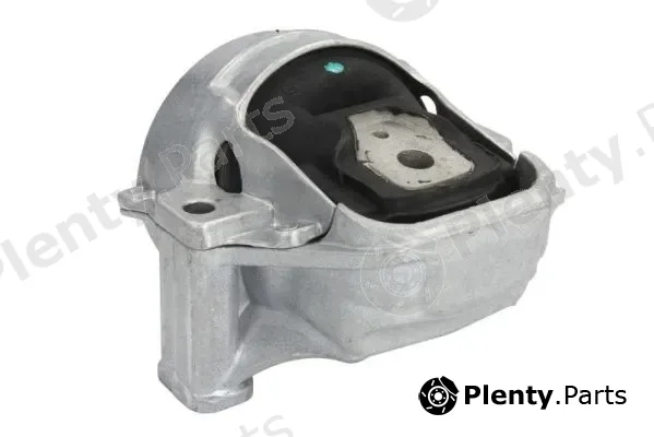 Reinhoch RH11-0080 — Mounting, engine