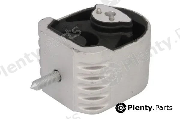 Reinhoch RH11-3019 — Mounting, engine