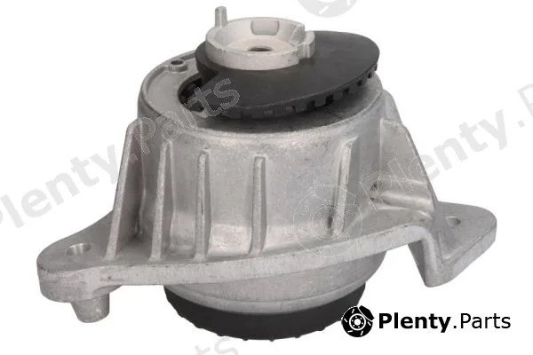 Reinhoch RH11-3121 — Mounting, engine