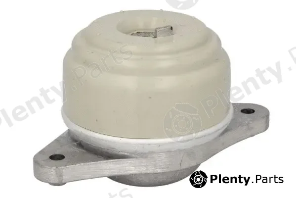 Reinhoch RH11-3098 — Mounting, engine