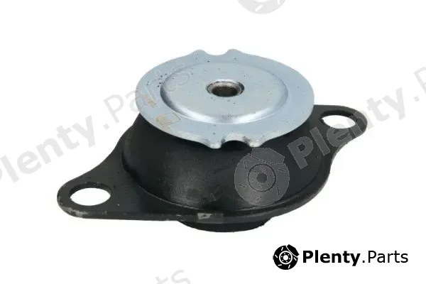 Reinhoch RH11-1020 — Mounting, engine