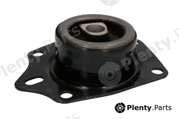 Reinhoch RH11-6024 — Mounting, engine