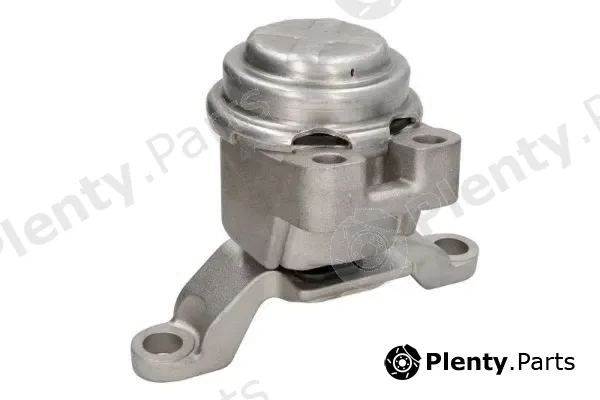 Reinhoch RH11-4061 — Mounting, engine