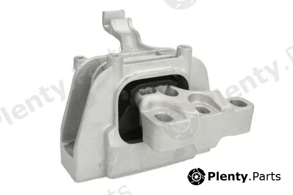 Reinhoch RH11-0091 — Mounting, engine