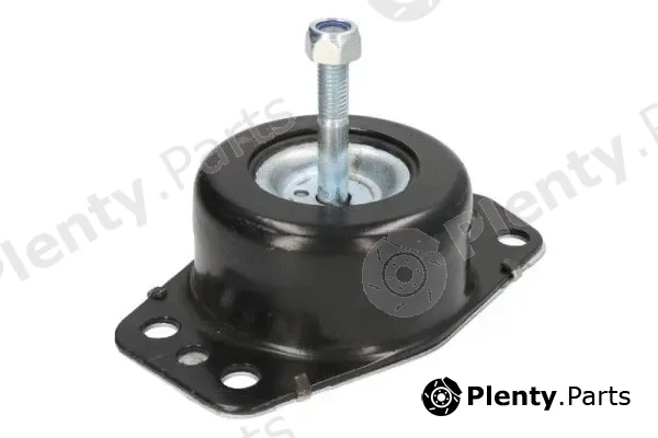 Reinhoch RH11-2193 — Mounting, engine