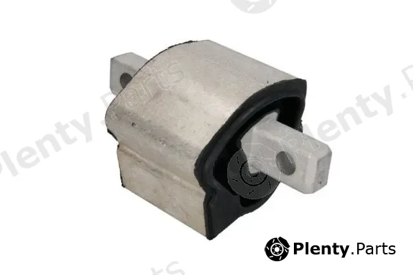 Reinhoch RH12-3000 — Mounting, engine