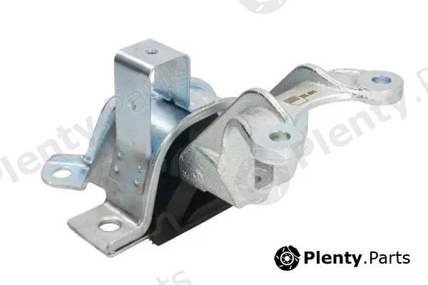 Reinhoch RH11-1071 — Mounting, engine