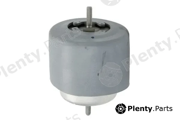 Reinhoch RH11-0071 — Mounting, engine