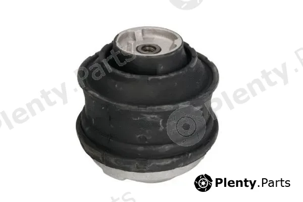 Reinhoch RH11-3012 — Mounting, engine