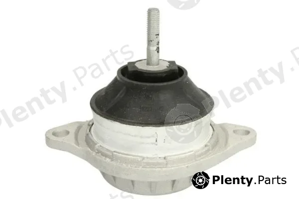 Reinhoch RH11-0000 — Mounting, engine