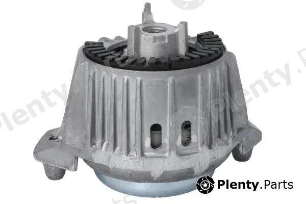 Reinhoch RH11-3119 — Mounting, engine