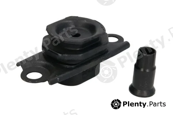 Reinhoch RH11-2166 — Mounting, engine