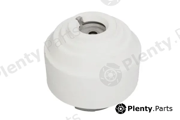 Reinhoch RH11-3015 — Mounting, engine