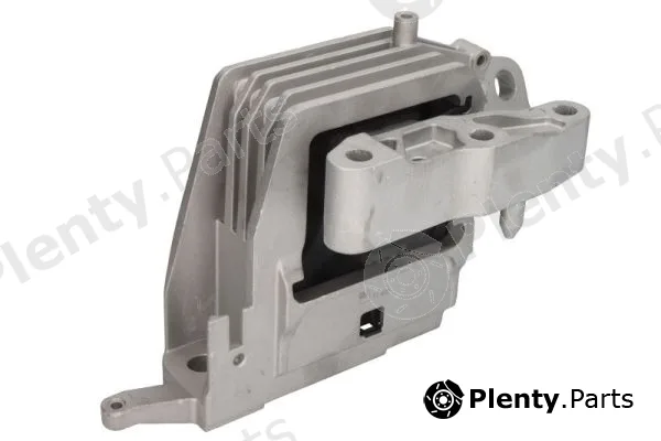 Reinhoch RH11-3117 — Mounting, engine