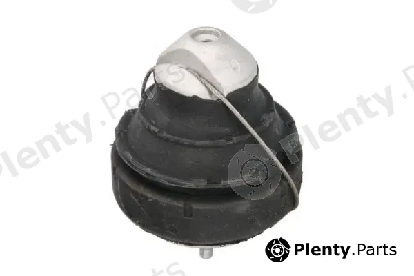 Reinhoch RH11-4016 — Mounting, engine