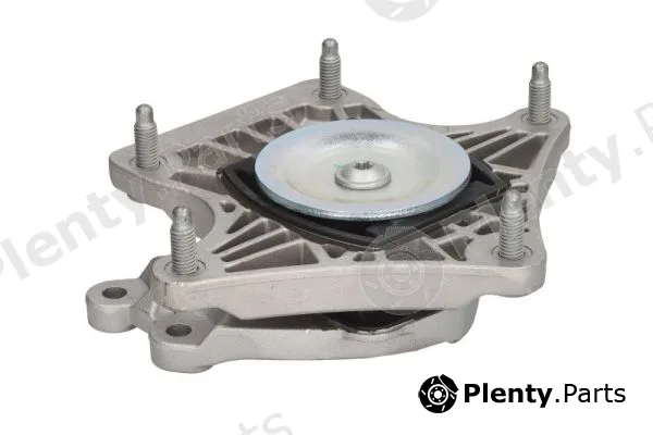 Reinhoch RH12-3023 — Mounting, engine