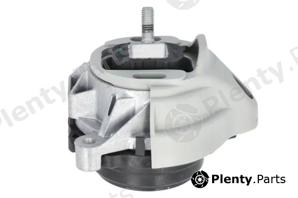 Reinhoch RH11-3142 — Mounting, engine