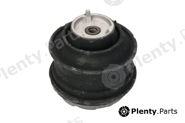Reinhoch RH11-3011 — Mounting, engine