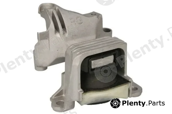 Reinhoch RH11-2199 — Mounting, engine