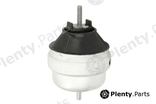 Reinhoch RH11-0124 — Mounting, engine