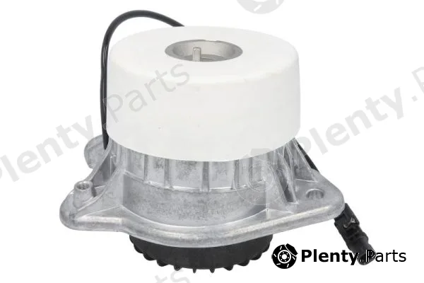 Reinhoch RH11-3131 — Mounting, engine