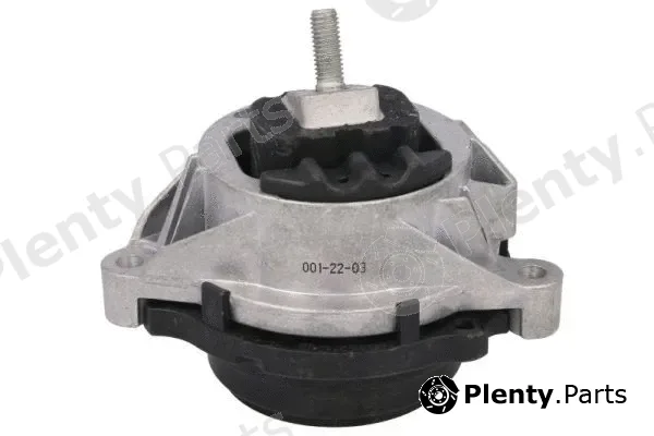 Reinhoch RH11-3113 — Mounting, engine