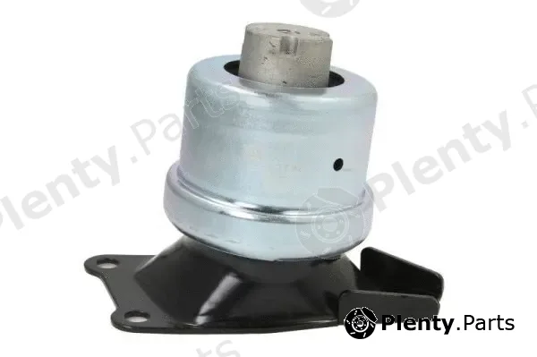 Reinhoch RH11-0061 — Mounting, engine