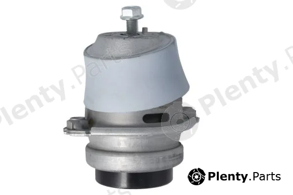 Reinhoch RH11-3148 — Mounting, engine