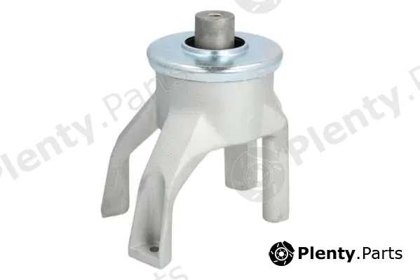 Reinhoch RH11-0125 — Mounting, engine