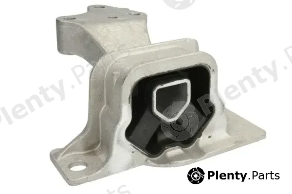 Reinhoch RH11-2106 — Mounting, engine