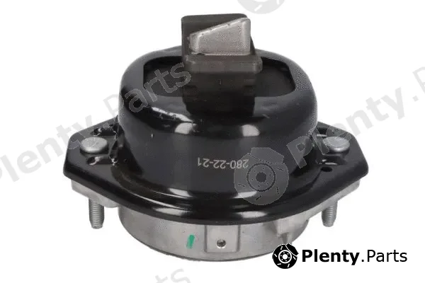 Reinhoch RH11-3107 — Mounting, engine