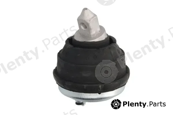 Reinhoch RH11-3017 — Mounting, engine