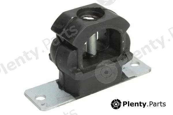 Reinhoch RH11-2138 — Mounting, engine