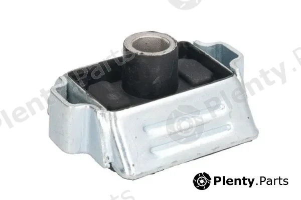Reinhoch RH11-2023 — Mounting, engine