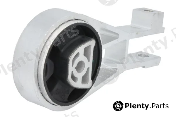 Reinhoch RH11-5096 — Mounting, engine