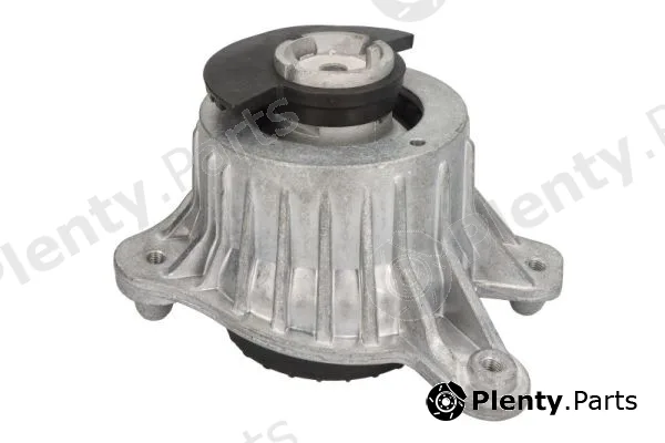 Reinhoch RH11-3126 — Mounting, engine