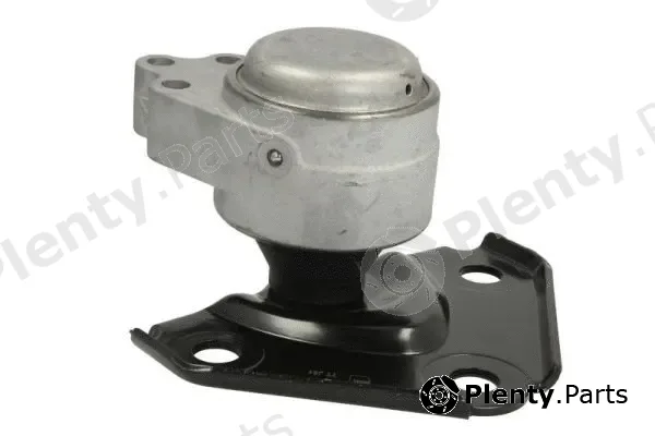 Reinhoch RH11-4027 — Mounting, engine