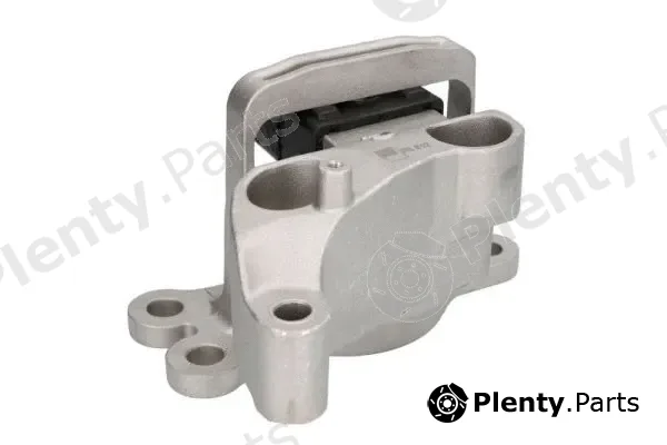 Reinhoch RH11-2183 — Mounting, engine