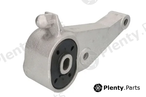 Reinhoch RH11-5079 — Mounting, engine