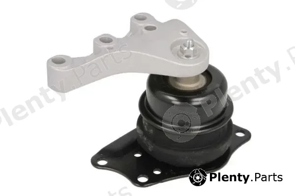 Reinhoch RH11-0048 — Mounting, engine