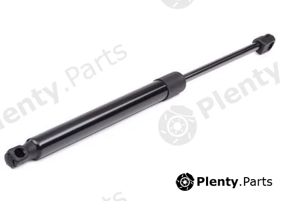 MTR 12191970 — Gas Spring, boot/cargo area