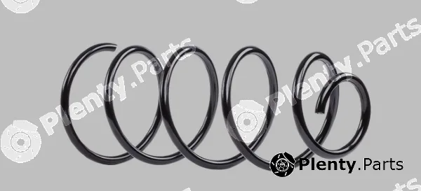 MTR 12108668 — Suspension Spring