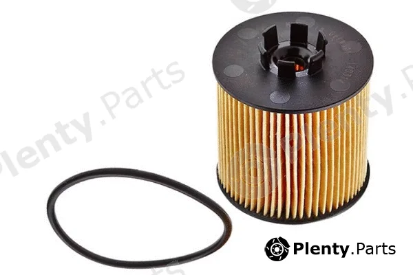 MTR 12135373 — Oil Filter
