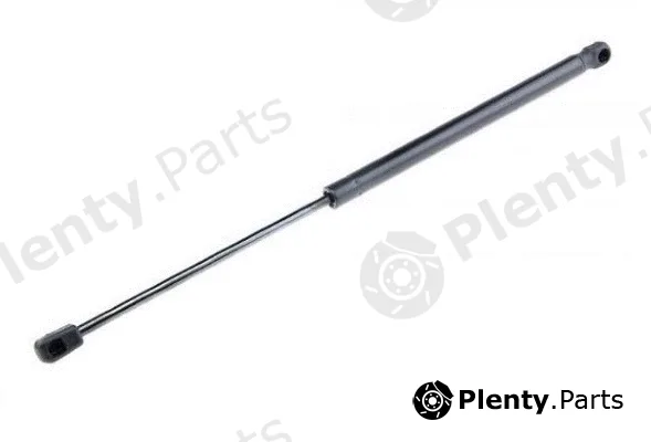MTR 12192106 — Gas Spring, boot/cargo area