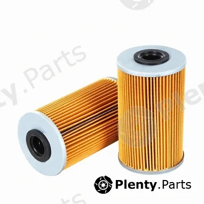 MTR 12138336 — Fuel Filter