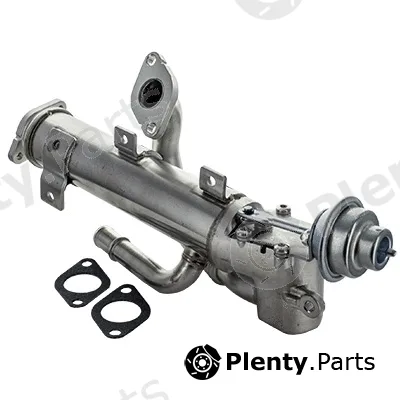 MTR 11741621 — EGR Valve