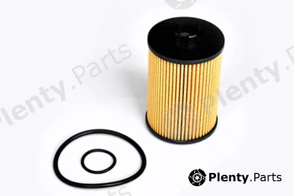 MTR 12135398 — Oil Filter