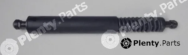 MTR 12182792 — Gas Spring, boot/cargo area